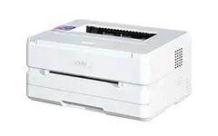 P2500DW